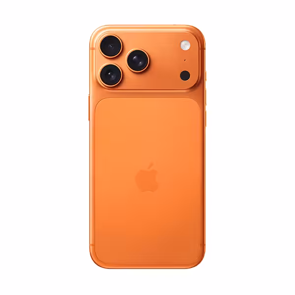 17 Pro Max